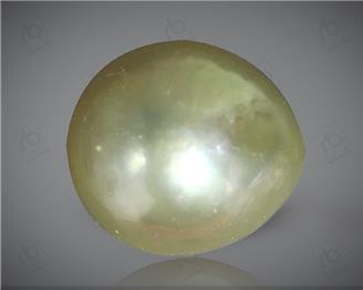 Pearl /Moti  ( South Sea ) Certified 7.21 carats -90288 